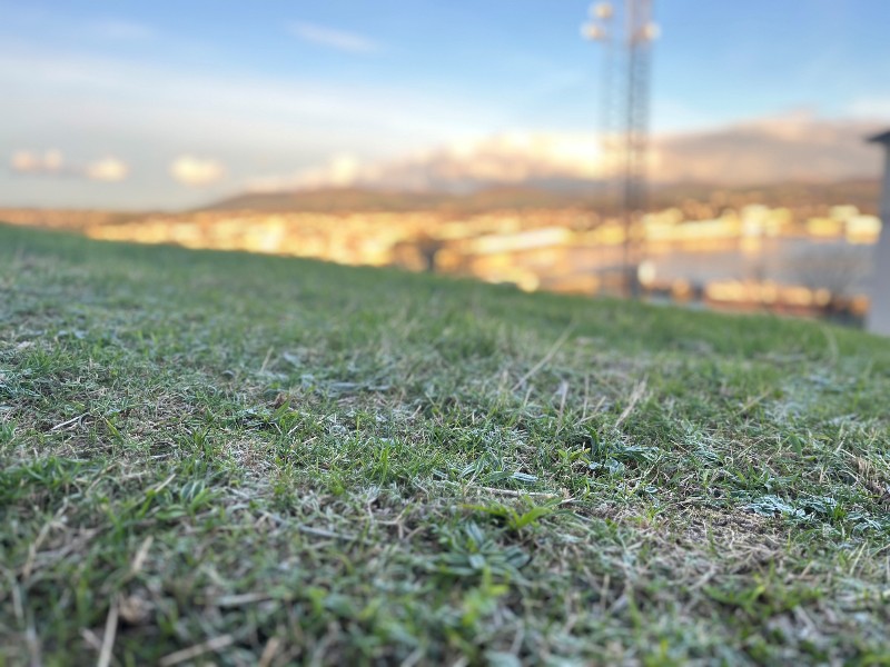 Cold, wet and windy start to 2026