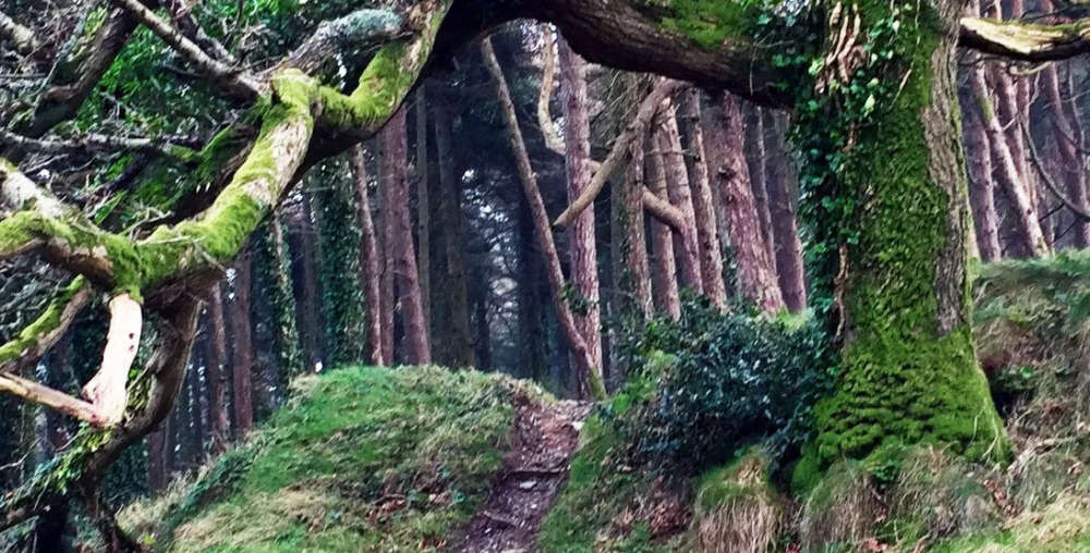 DOI declines to reveal charity land leas