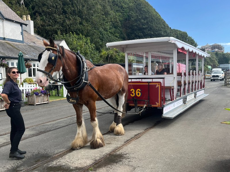 Douglas MHK's motion hopes to see h