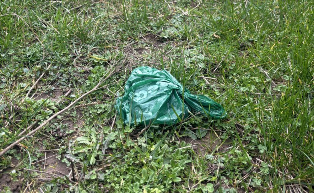 Farm's plea over dog fouling in fie