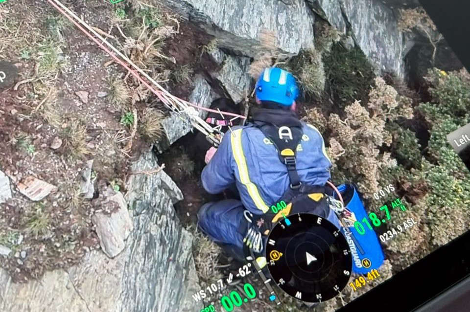 Fundraiser for team who rescued dog