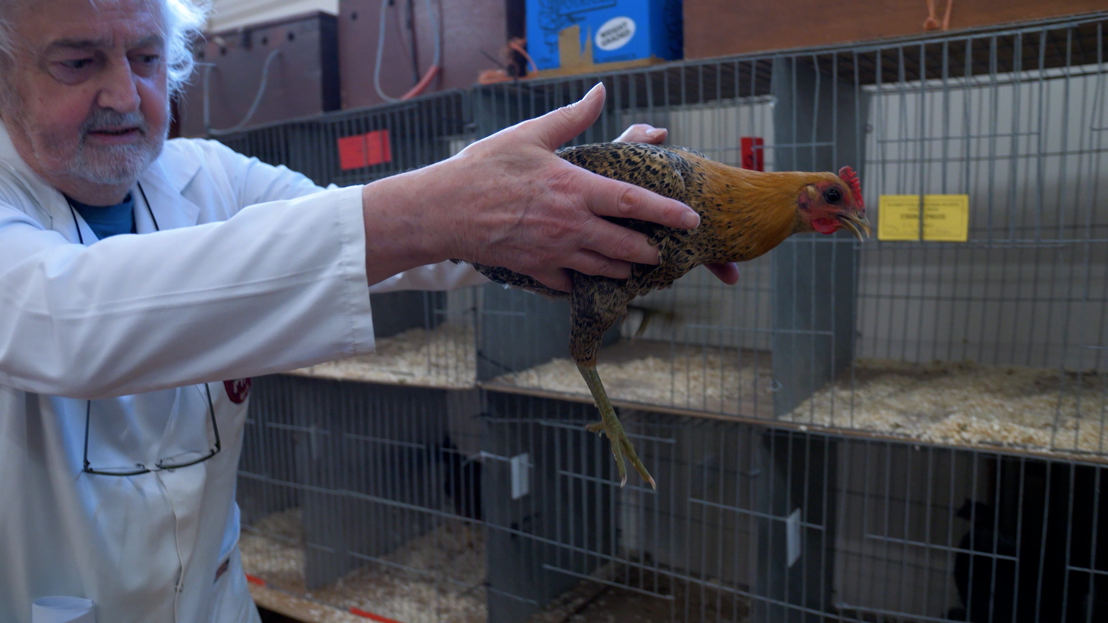 New film series highlights island's