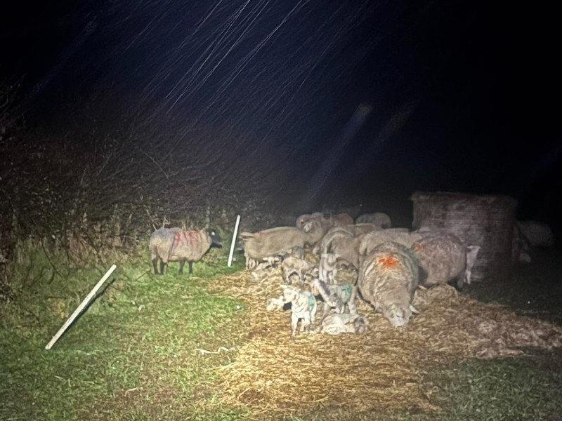 Persistent rain is making life difficult