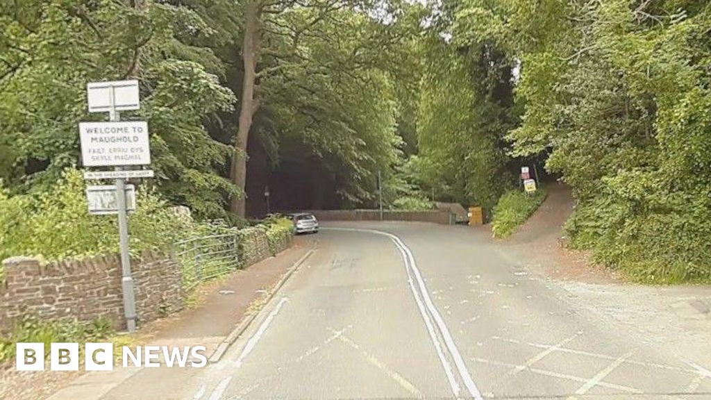 Section of coast road to close for tree 